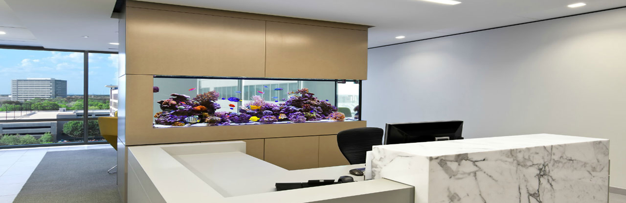 Office Aquarium 2